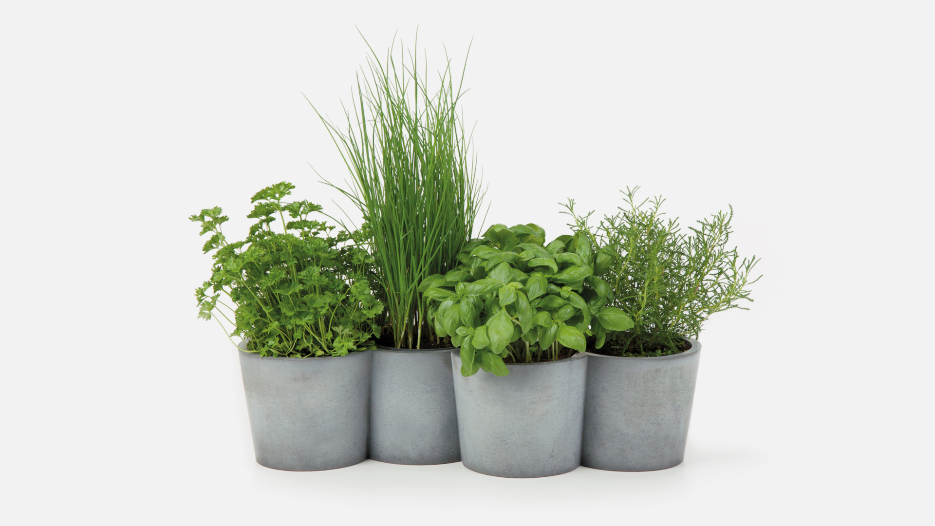 potpot Kräutertopf