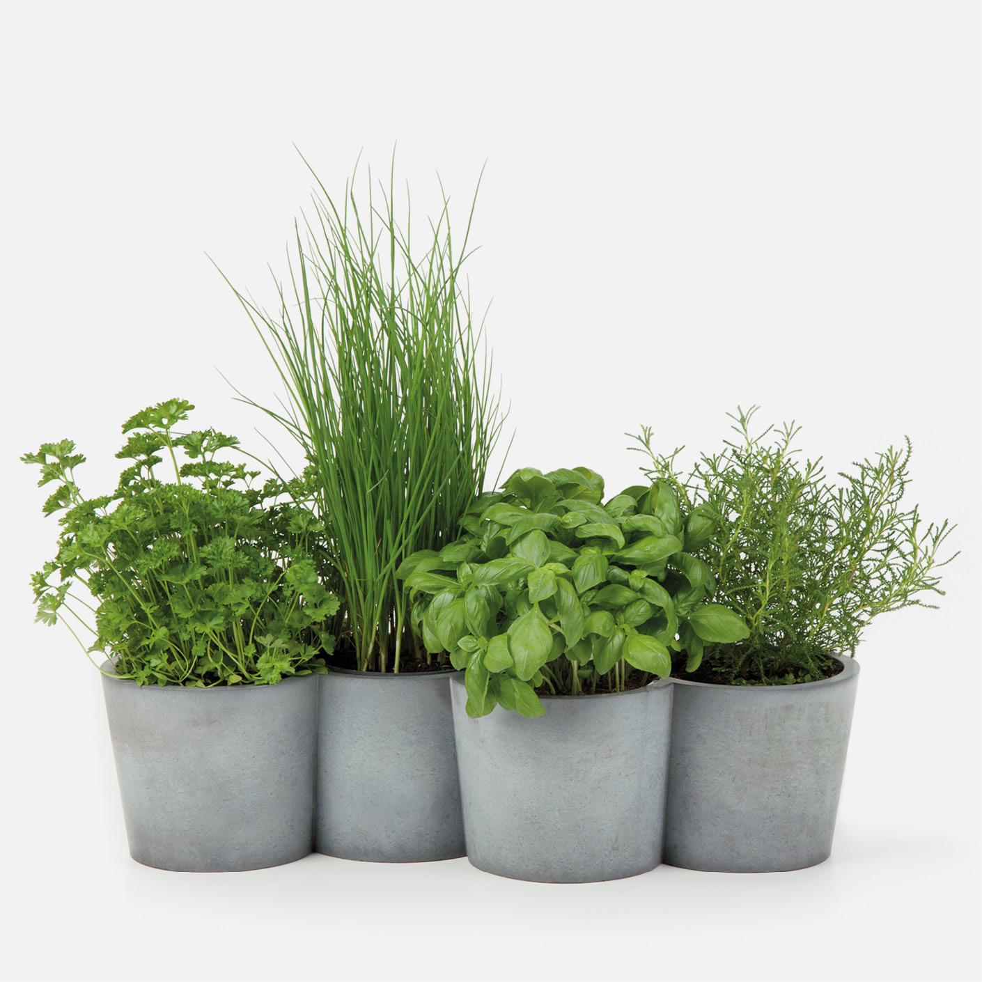 potpot for herbs